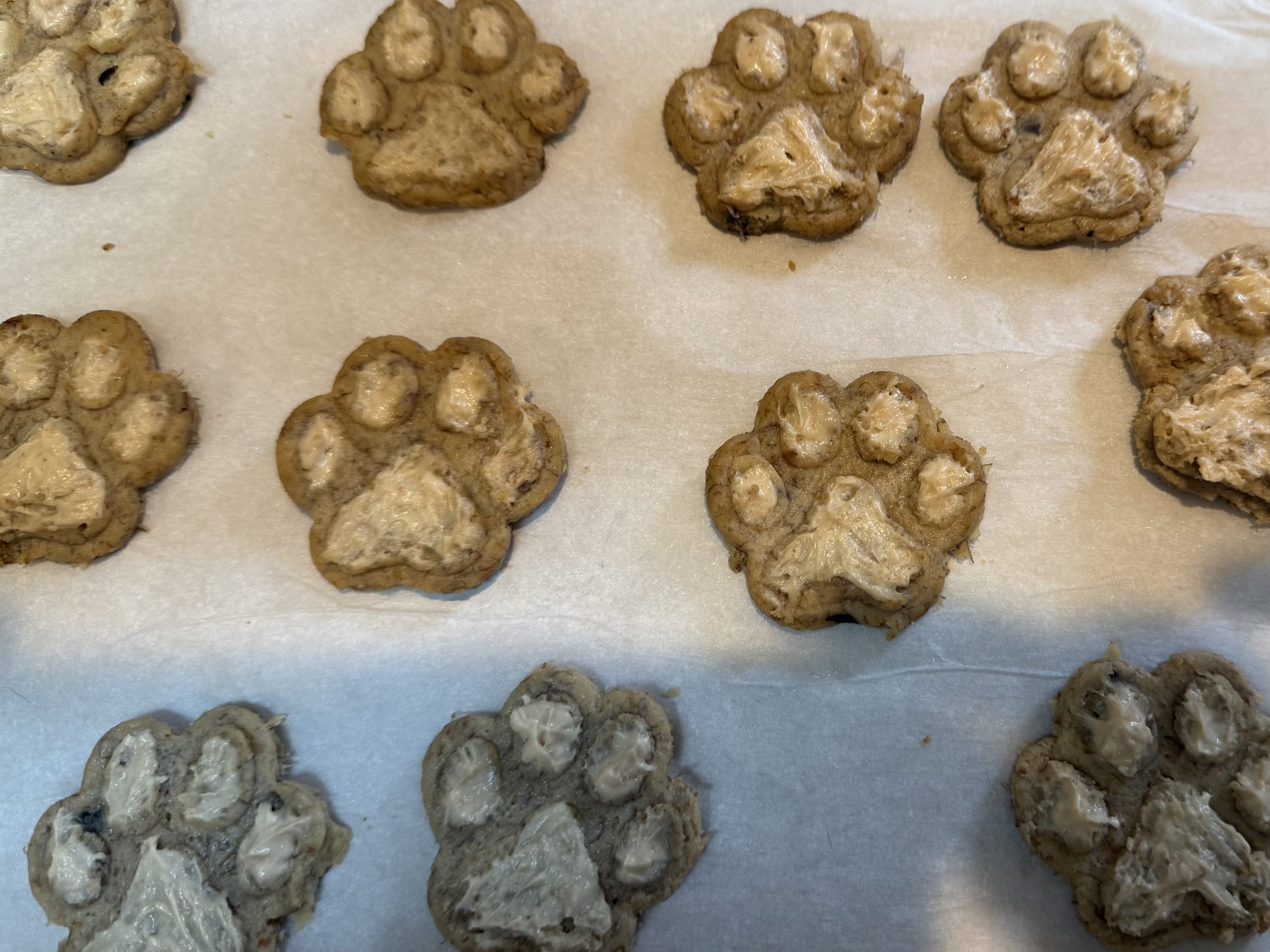 Pup Treats